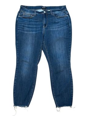 Judy Blue | High Waist Jeans Sz 22W